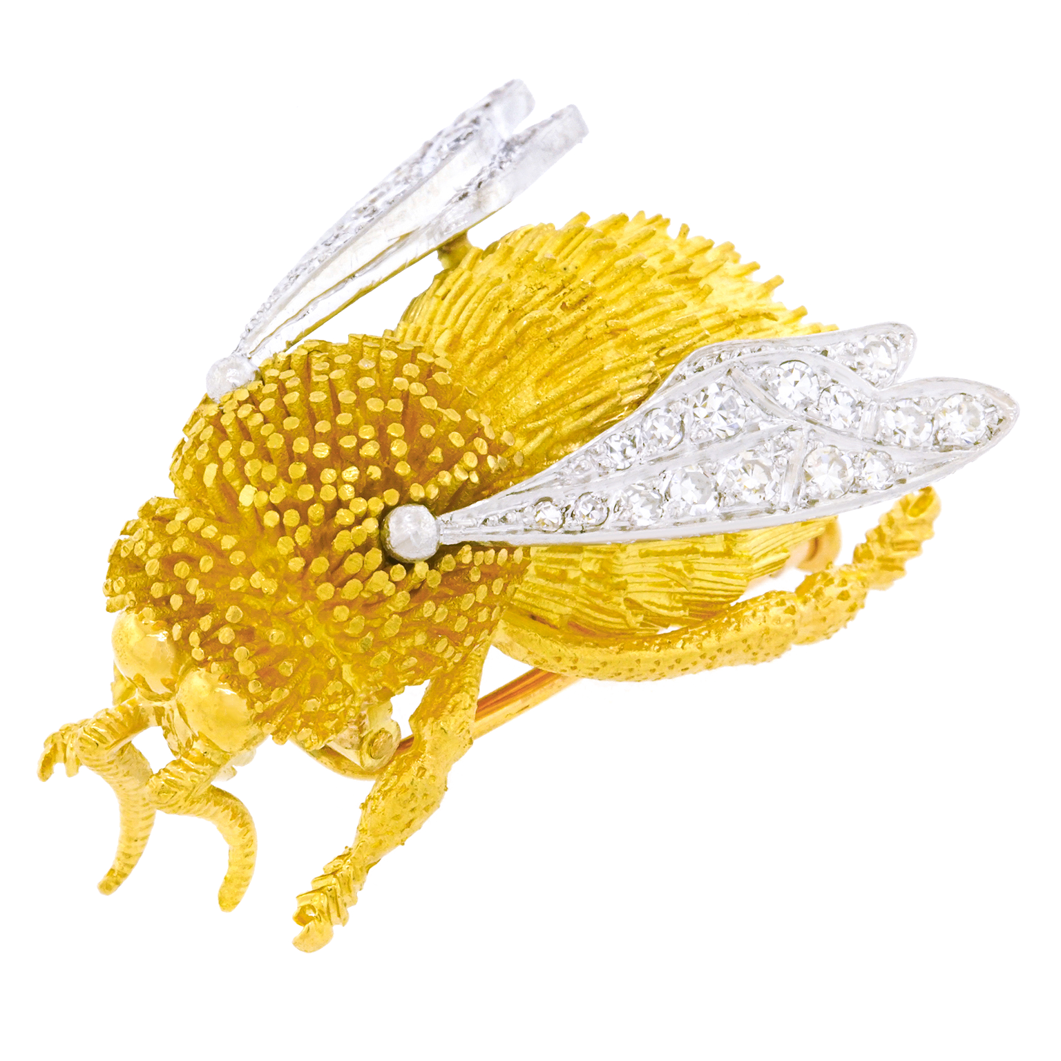 23984ai.png?v=1691082394